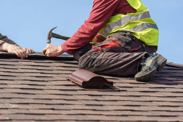 Best Local Roofing Companies  in West Columbia, TX