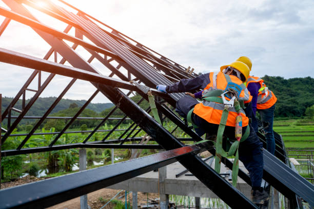 Best Local Roofing Companies  in West Columbia, TX