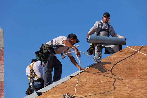Best Commercial Roofing Services  in West Columbia, TX