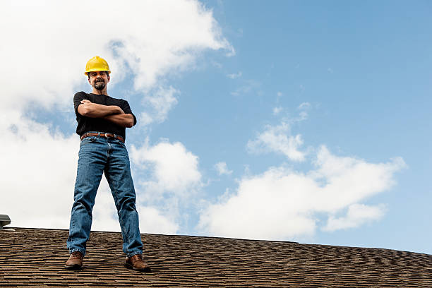 Best Roof Gutter Cleaning  in West Columbia, TX