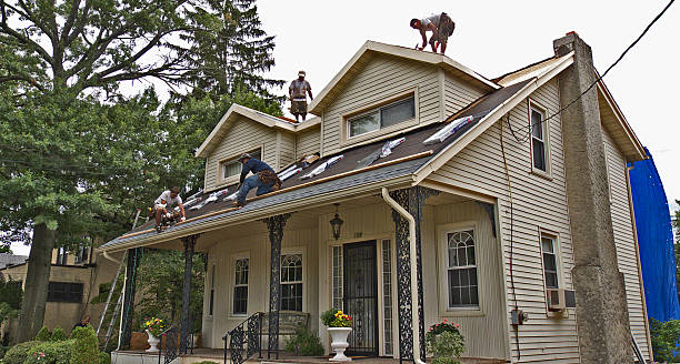 Best Best Roofing Contractors  in West Columbia, TX