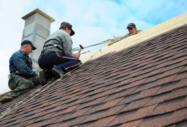 Best Gutter Installation and Roofing  in West Columbia, TX